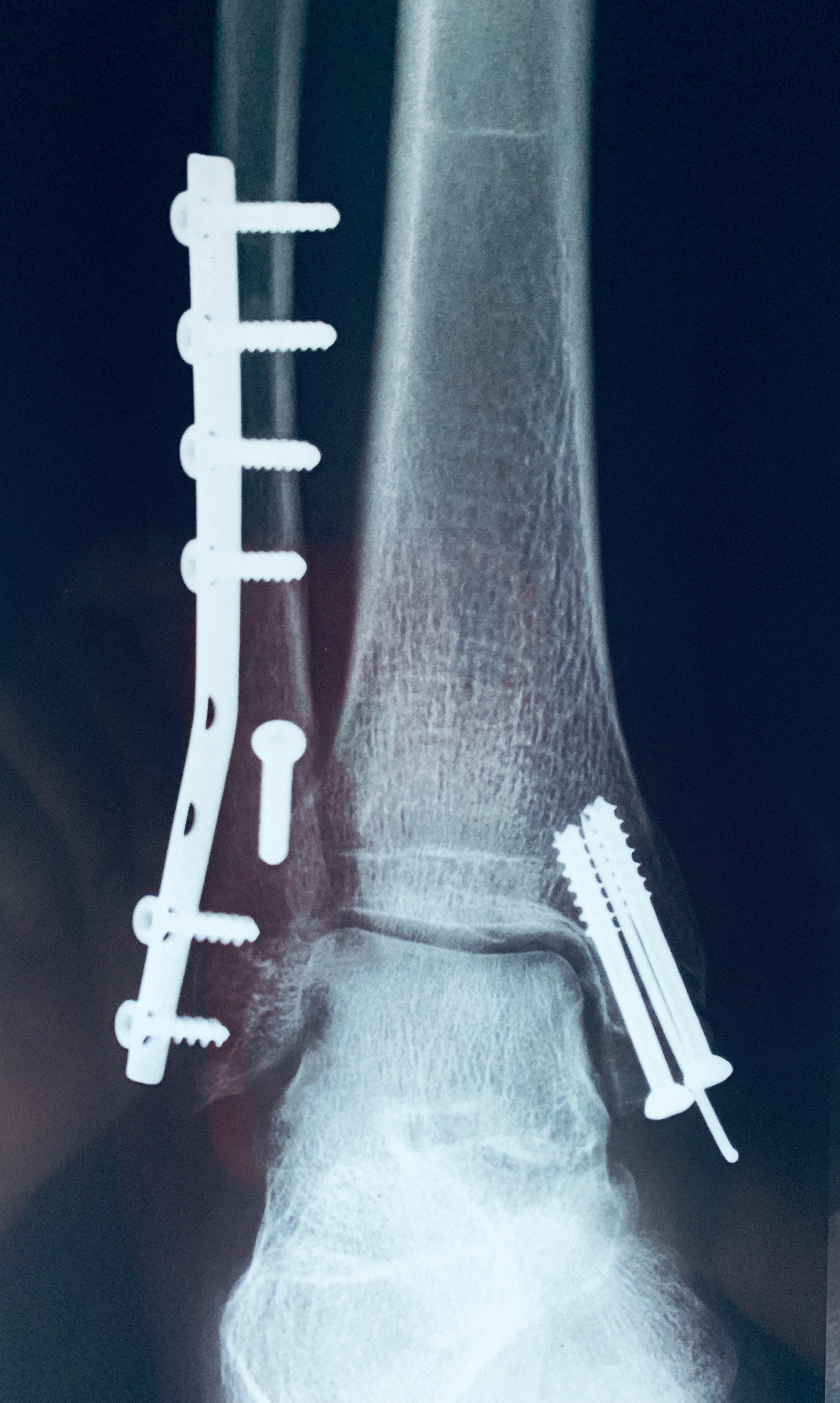 Case Study - Dr. Naba Krishna Gohain